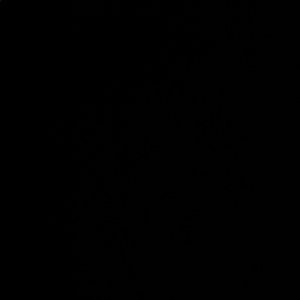 Meet your Posher, Jocelynn